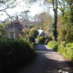 Lavender and Place Lodge