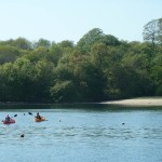 Canoeing off Cellars Beach